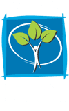 Empresa Neutra em Carbono